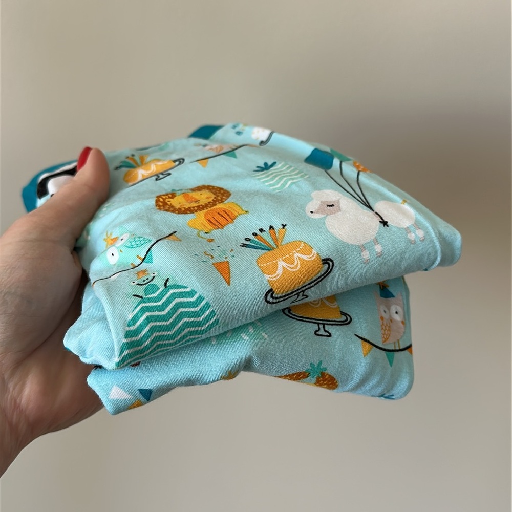 Little Sleepies ⭐️RARE⭐️ Blue Party Animals Birthday Pajamas 4T